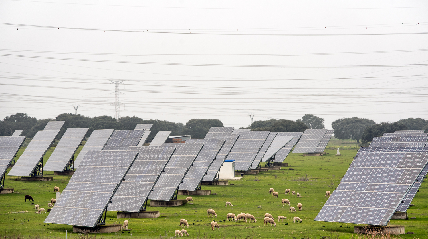 Vertical agrivoltaics